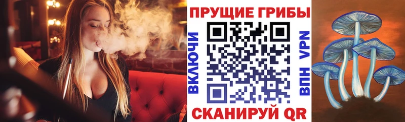 как найти закладки  Лысьва  Псилоцибиновые грибы мухоморы 